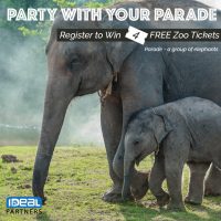 Ideal-028-Zoo-Ticket_Giveaways-Elephants.jpg